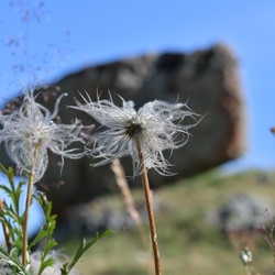 2019-08 Savoie/Aiguilles d'Arves/DSC_1420.JPG